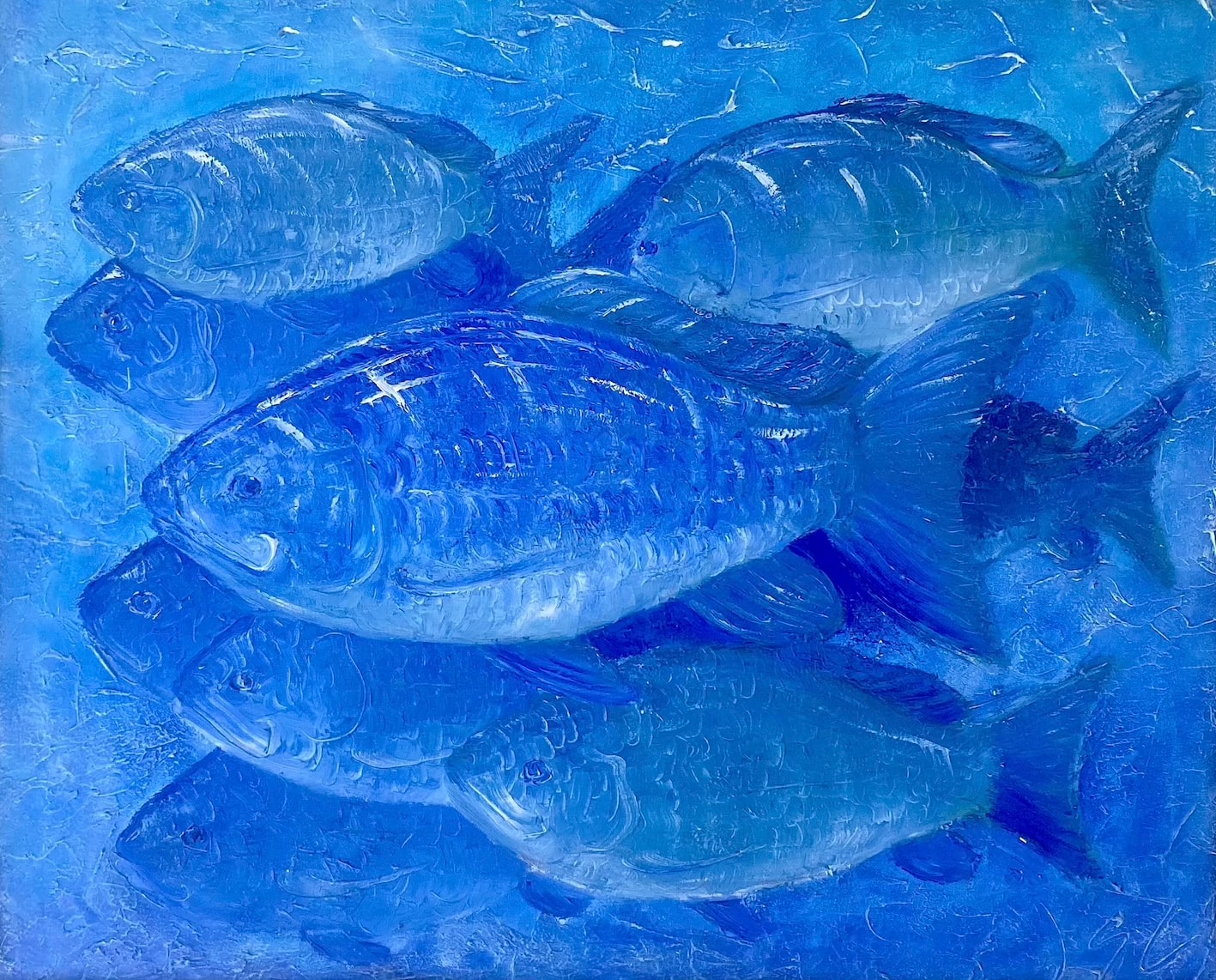 Bluefish